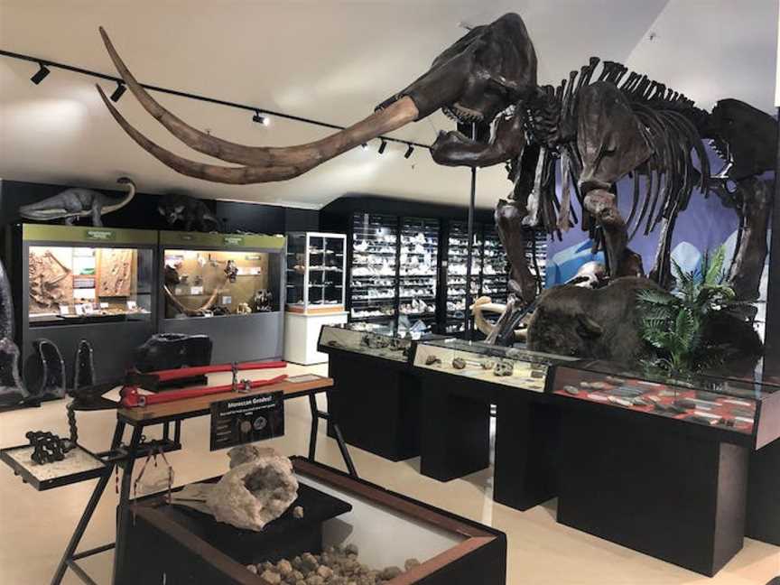 National Dinosaur Museum, Nicholls, ACT