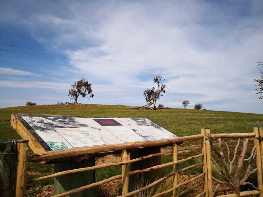 Tasmanian Wool Centre, Ross, TAS