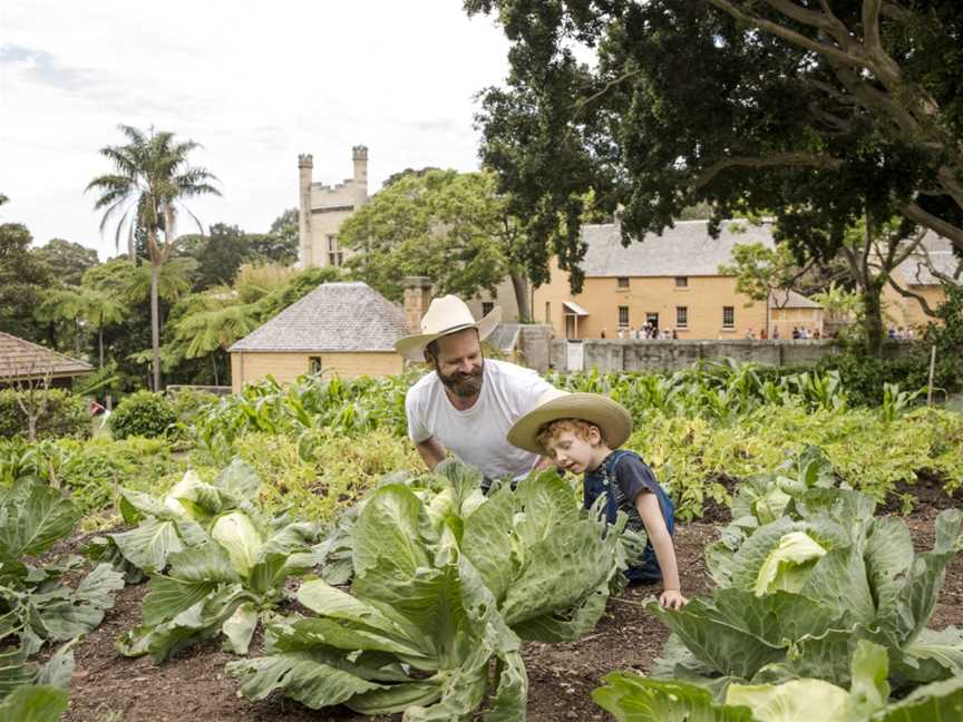 Vaucluse House, Vaucluse, NSW