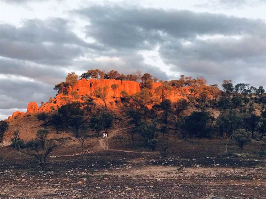 Quilpie Shire Military History Museum, Quilpie, QLD