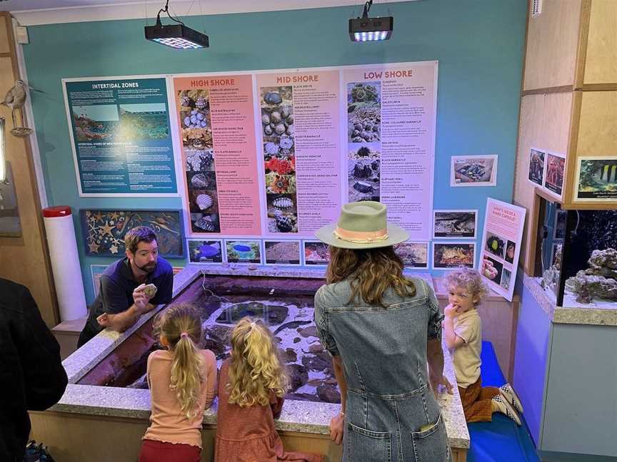 Central Coast Marine Discovery Centre, Tourist attractions in Terrigal