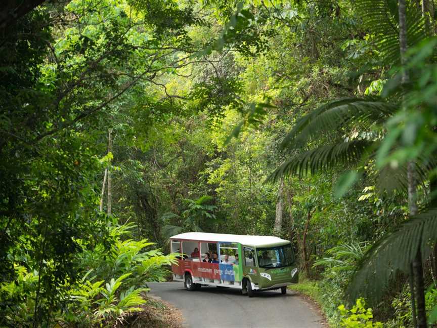 Mossman Gorge Centre, Mossman Gorge, QLD