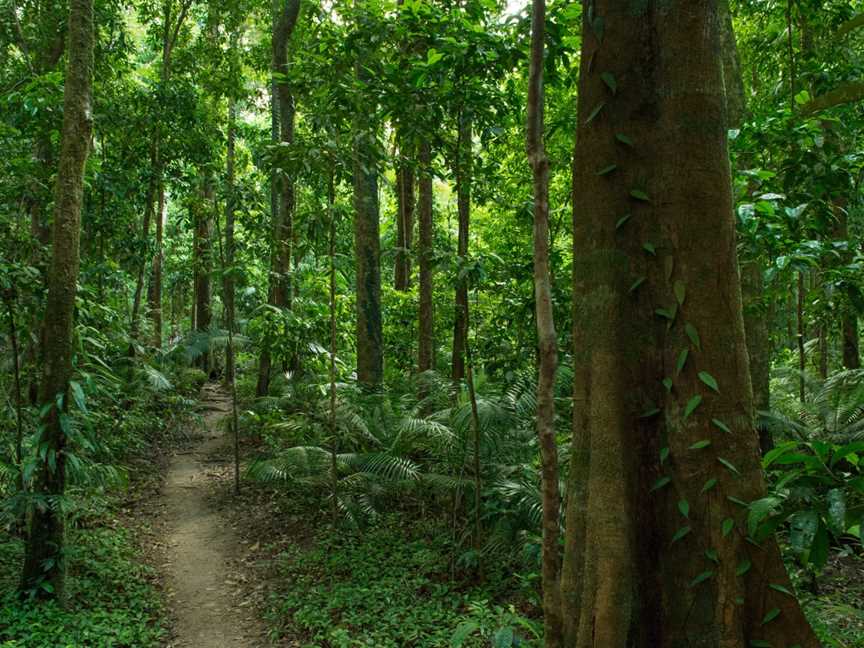 Mossman Gorge Centre, Mossman Gorge, QLD