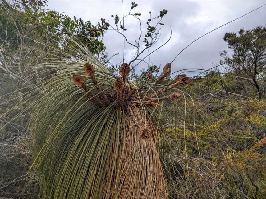 Hassell National Park, Tourist attractions in Green Range