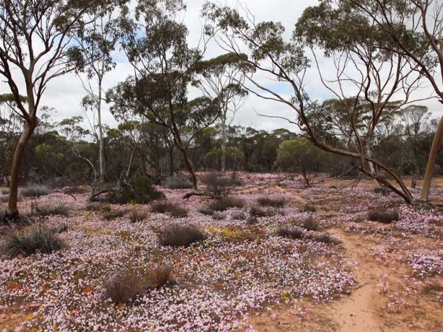 Korrelocking Nature Reserve, Tourist attractions in Korrelocking