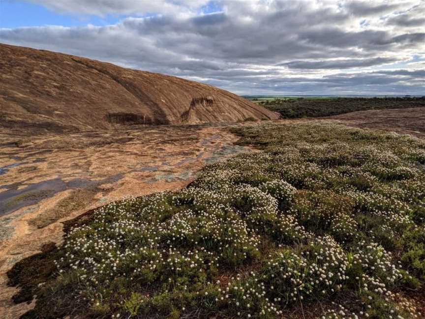 Yorkrakine Rock Nature Reserve, Tourist attractions in North Tammin