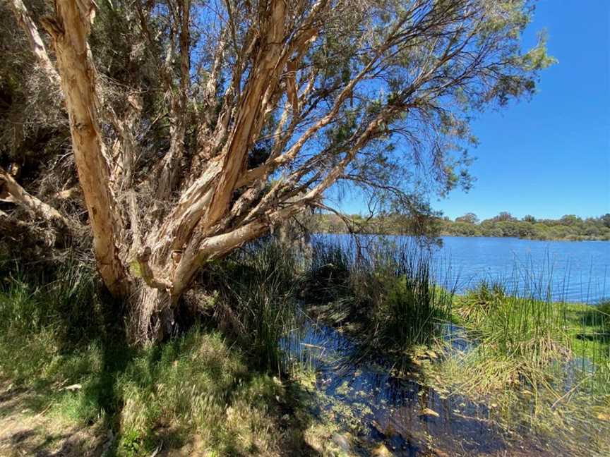 Lake Goollelal, Tourist attractions in Woodvale