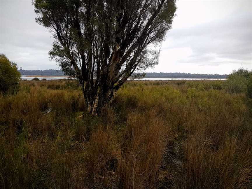 Thomson's Lake, Tourist attractions in The Spectacles