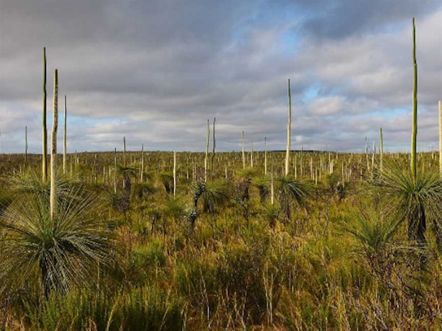 Myalup State Forest, Tourist attractions in Myalup