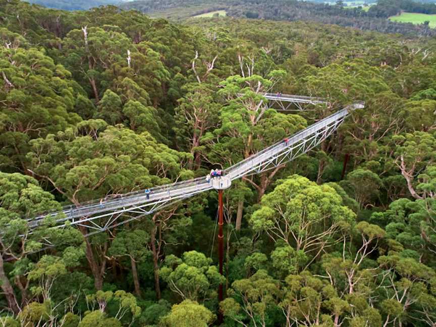 Valley of the Giants TreeTop Walk, Tourist attractions in Tingledale