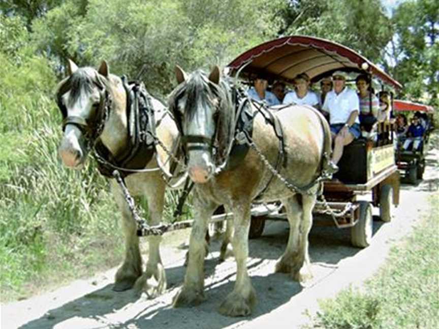 Swan Valley Wagon Trails, Tourist attractions in Henley Brook