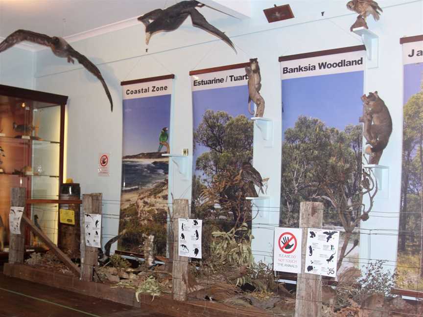 Taxidermy display