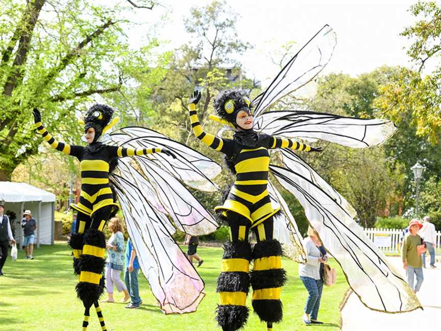 Albury Botanic Gardens, Albury, NSW