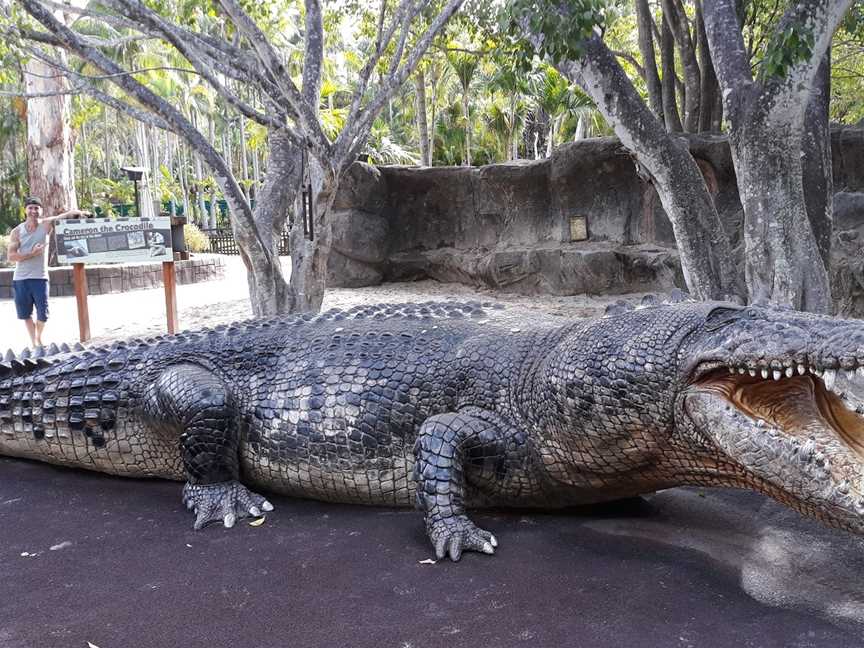 Australia Zoo, Beerwah, QLD