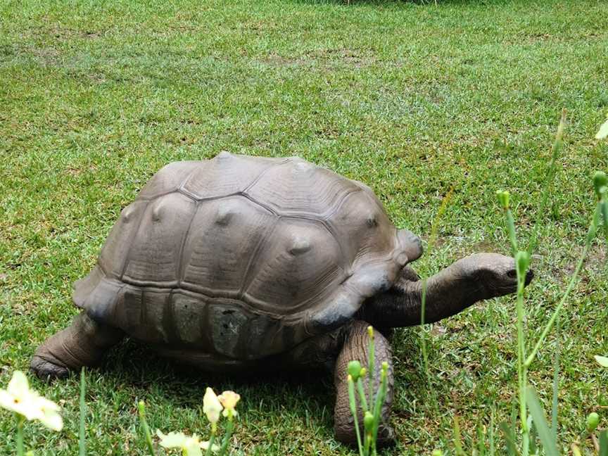 Australia Zoo, Beerwah, QLD