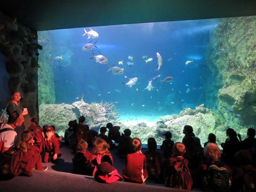 SEA LIFE Sydney Aquarium, Sydney, NSW