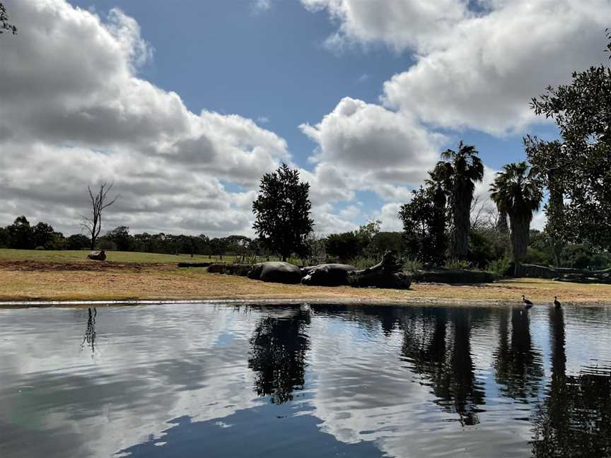 Werribee Open Range Zoo, Werribee South, VIC