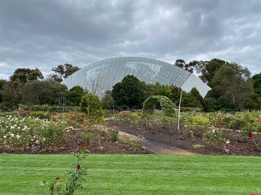 Adelaide Botanic Garden, Adelaide, SA