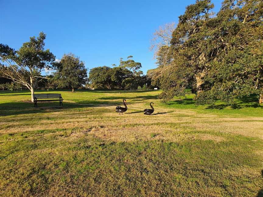 Centennial Park, Paddington, NSW