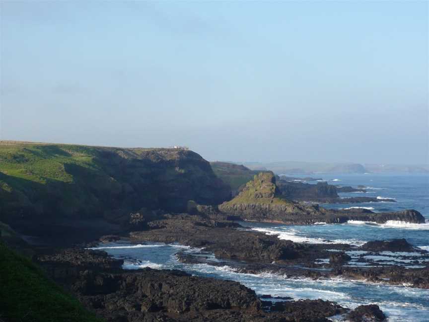 Phillip Island Nature Parks - Penguin Parade, Summerlands, VIC