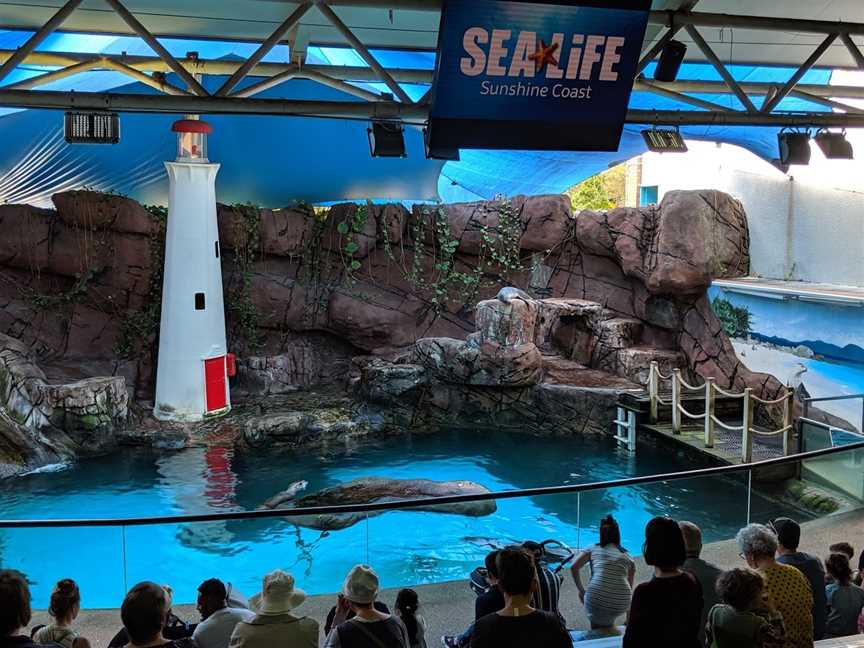 SEA LIFE Sunshine Coast Aquarium, Mooloolaba, QLD