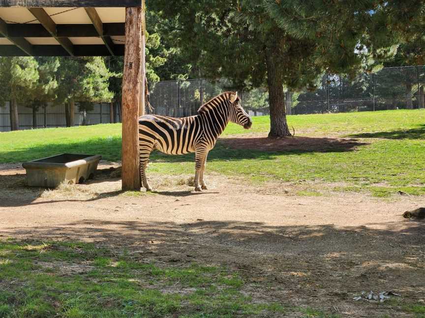 National Zoo & Aquarium, Yarralumla, ACT