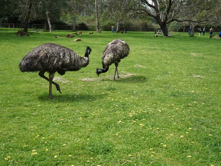 Cleland Conservation Park, Cleland, SA