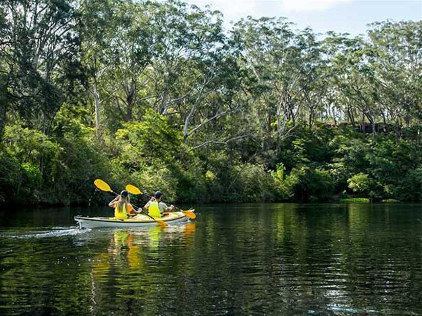 Lane Cove National Park, Lindfield, NSW