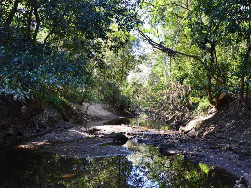 Lane Cove National Park, Lindfield, NSW