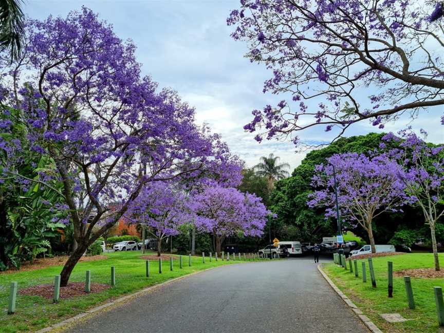 New Farm Park, New Farm, QLD