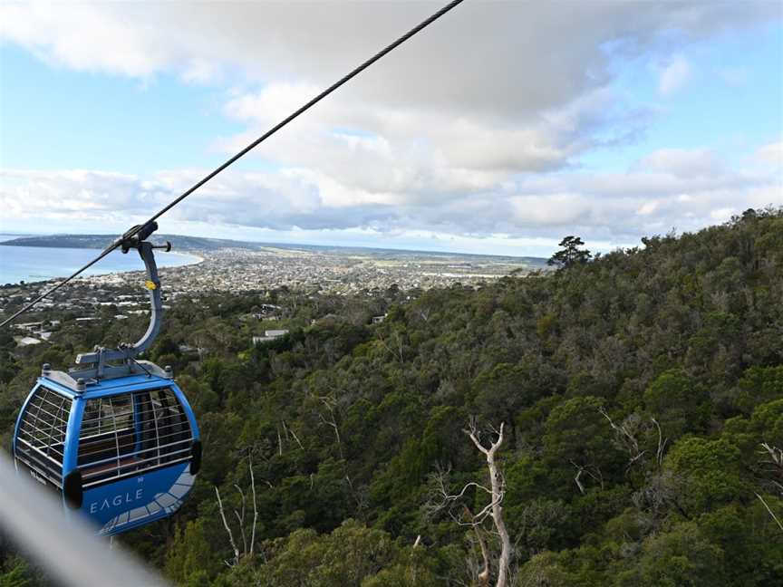 Arthurs Seat Eagle - Summit Station, Arthurs Seat, VIC