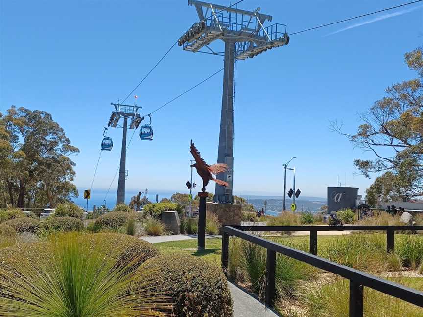 Arthurs Seat Eagle - Summit Station, Arthurs Seat, VIC