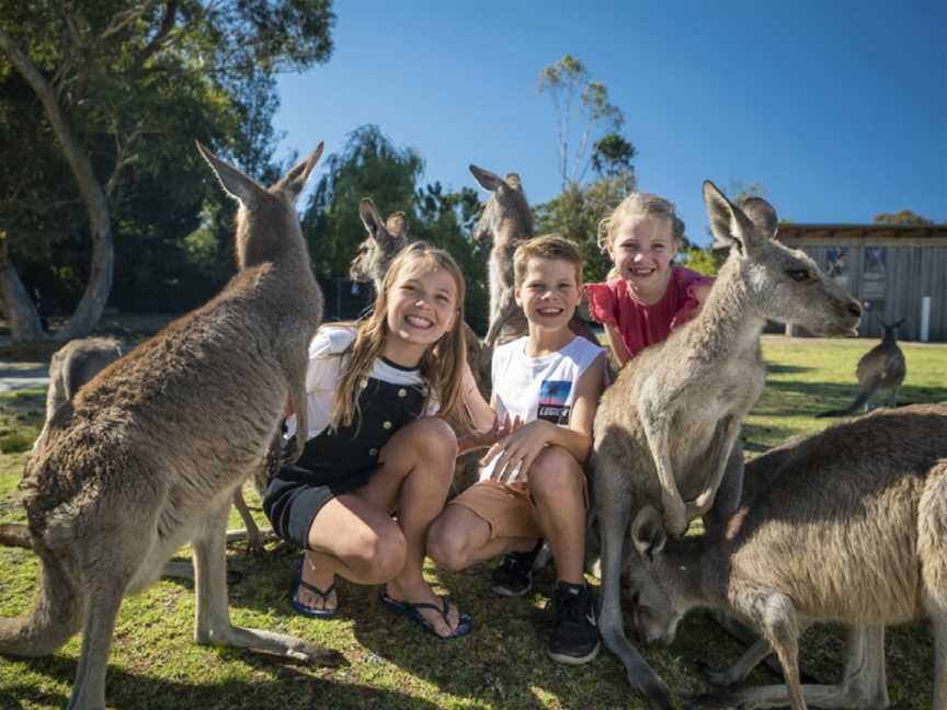 Symbio Wildlife Park, Helensburgh, NSW