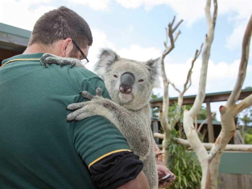 Symbio Wildlife Park, Helensburgh, NSW