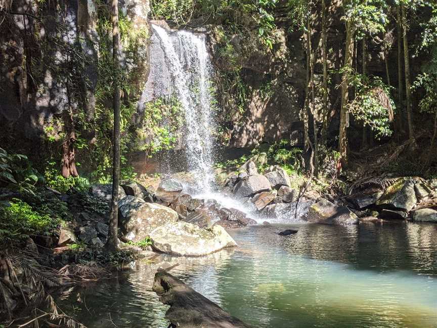 Tamborine National Park, Cedar Creek, QLD