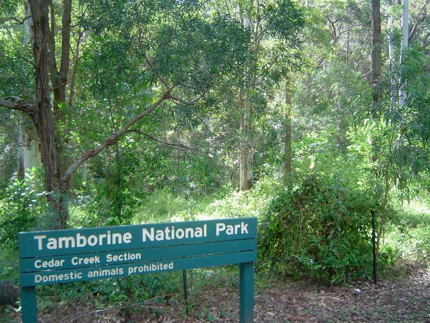 Tamborine National Park, Cedar Creek, QLD