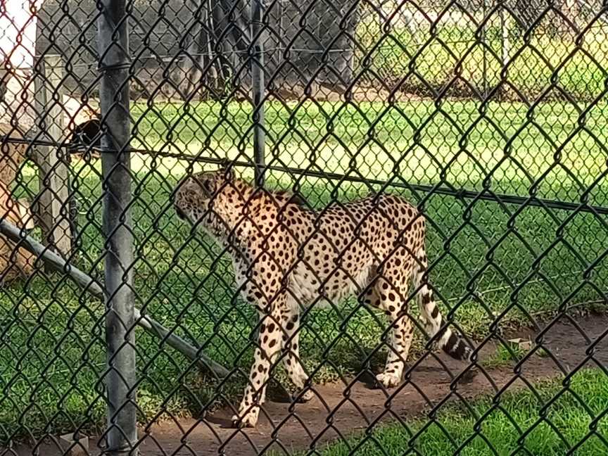 Hunter Valley Wildlife Park, Nulkaba, NSW