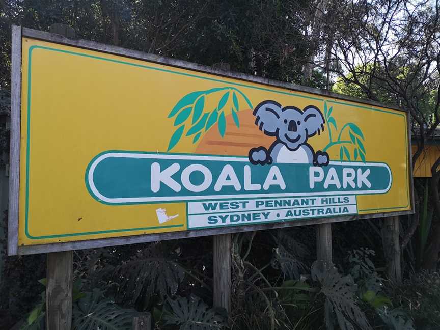 Koala Park Sanctuary Sydney, West Pennant Hills, NSW