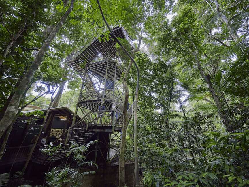 Daintree Discovery Centre, Cow Bay, QLD