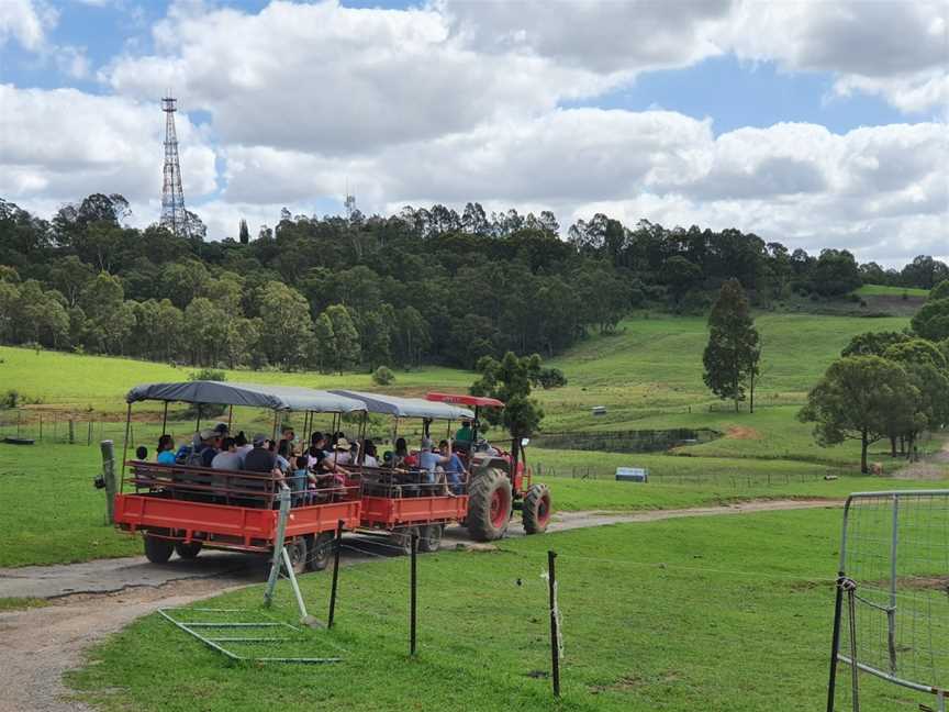 Calmsley Hill City Farm, Abbotsbury, NSW