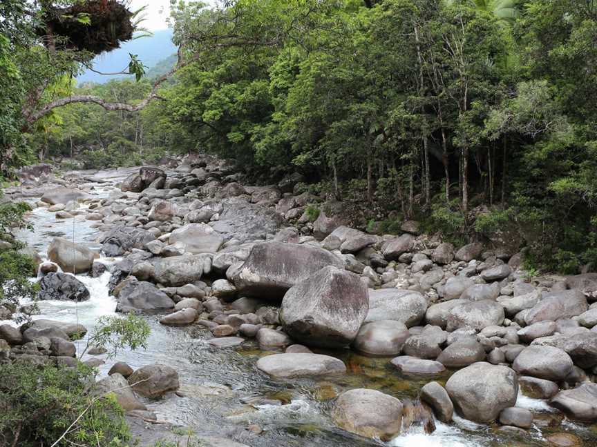 Daintree National Park, Cape Tribulation, QLD