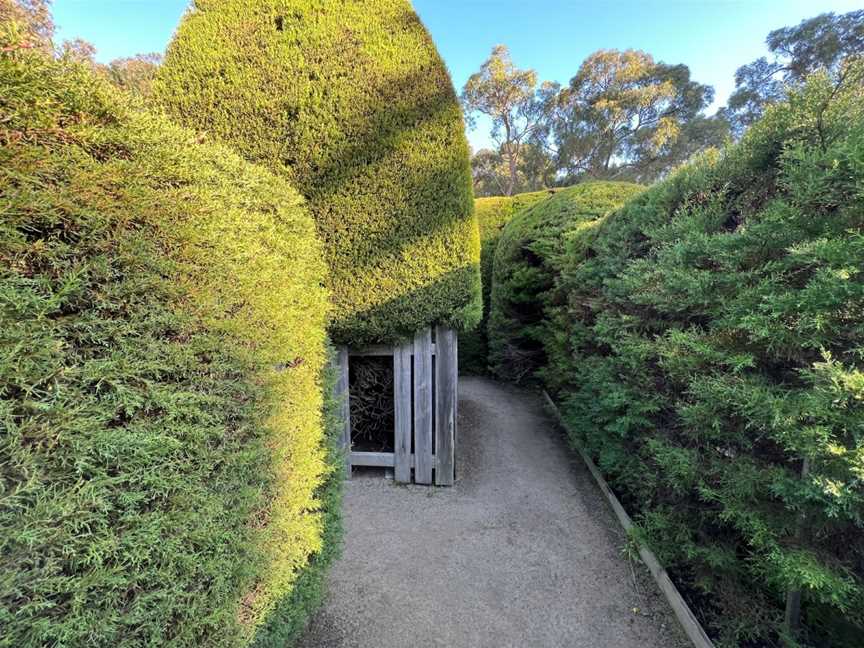 Ashcombe Maze & Lavender Gardens, Shoreham, VIC