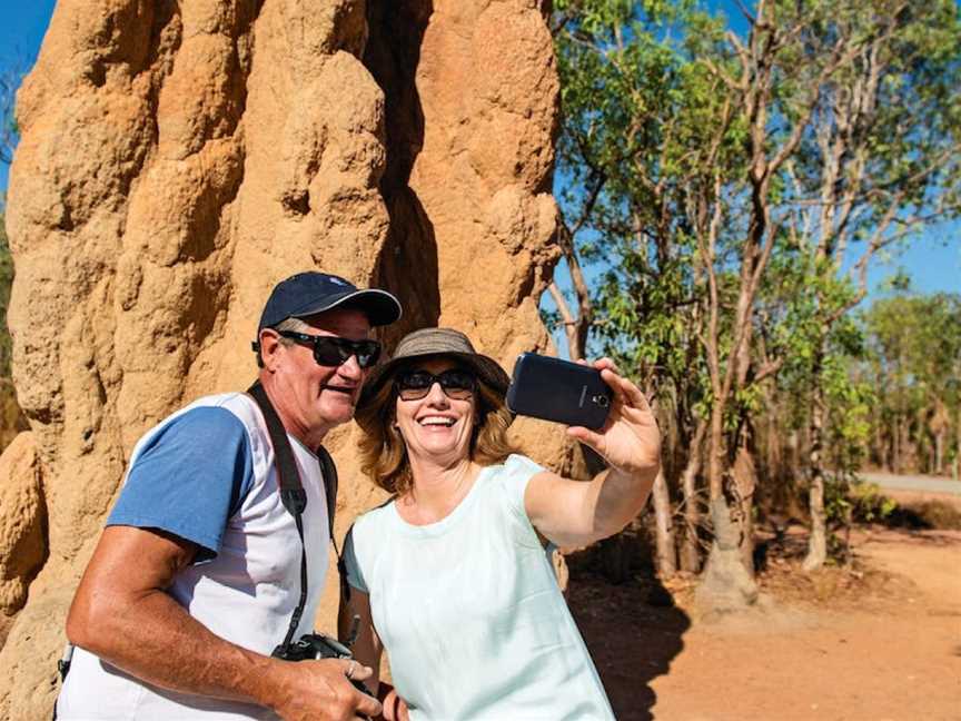 Magnetic Termite Mounds, Litchfield National Park, NT