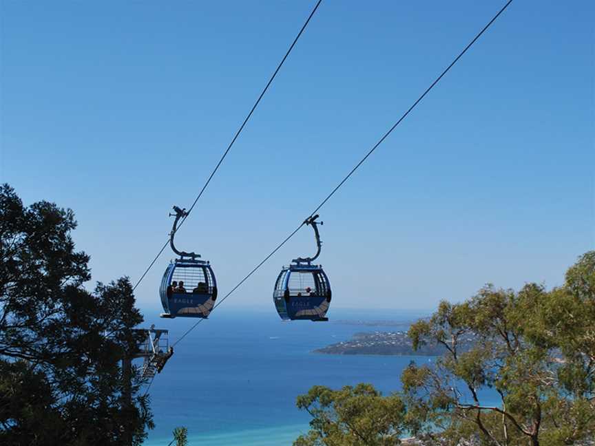 Arthurs Seat Eagle, Arthurs Seat, VIC