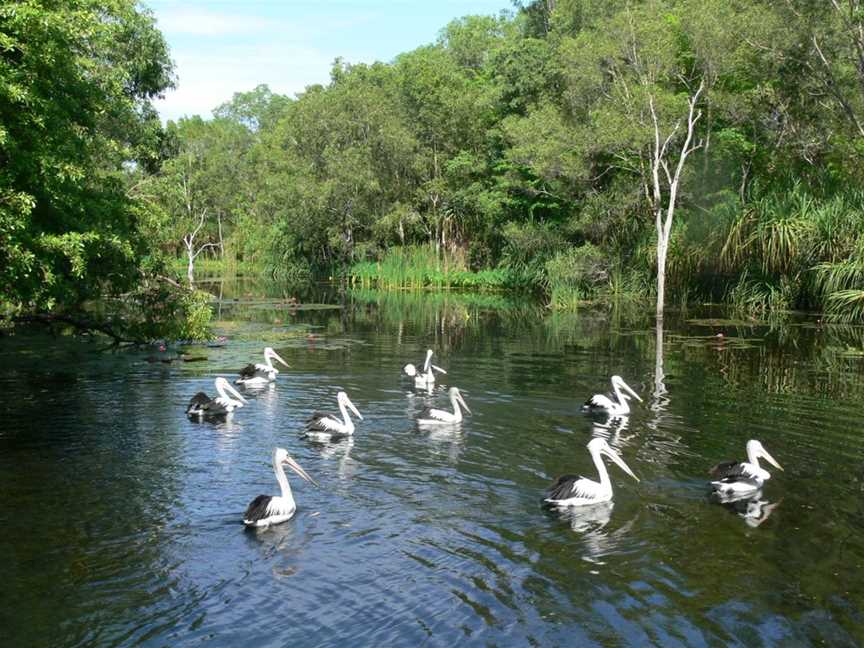 Territory Wildlife Park, Berry Springs, NT