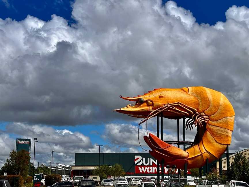 The Big Prawn, West Ballina, NSW