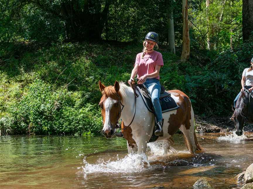 Glenworth Valley Outdoor Adventures, Glenworth Valley, NSW