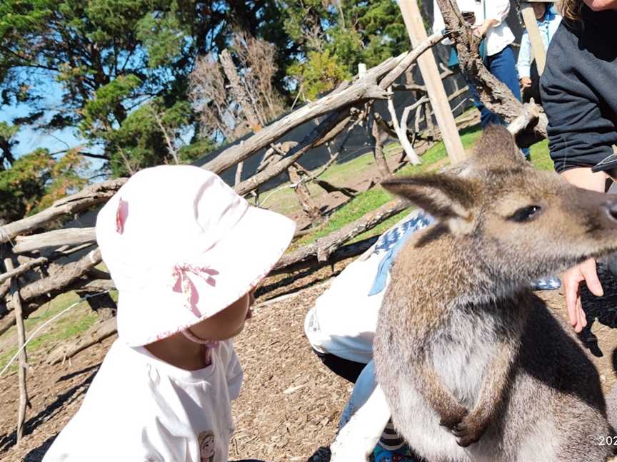 The Funky Farm (Bookings Only), Hastings, VIC