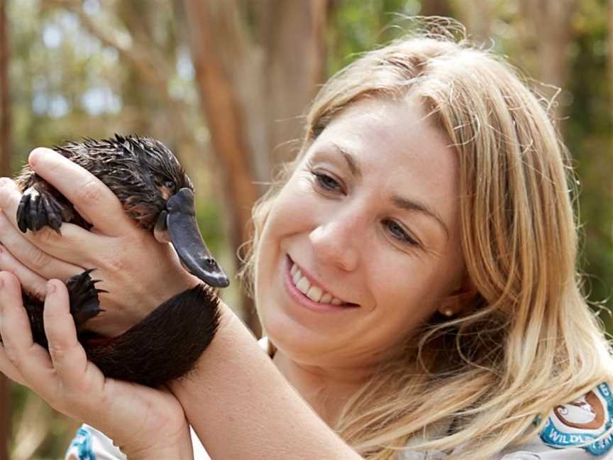 David Fleay Wildlife Park, West Burleigh, QLD