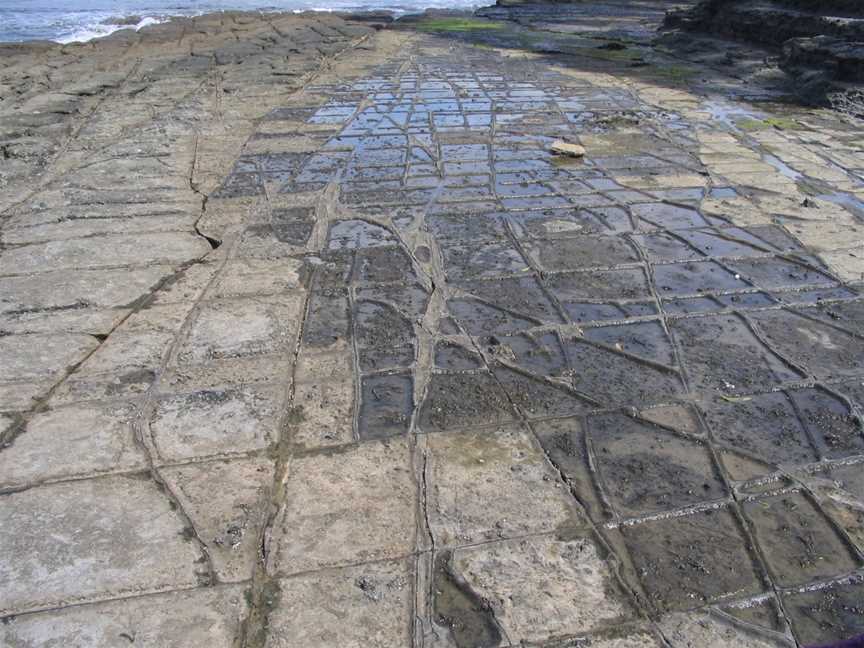 Tessellated Pavement, Eaglehawk Neck, TAS